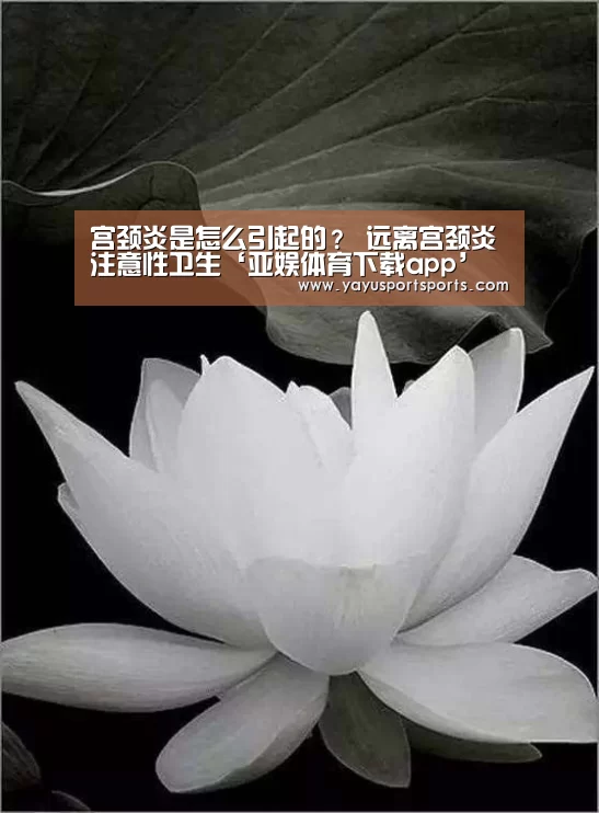 宫颈炎是怎么引起的? 远离宫颈炎注意性卫生‘亚娱体育下载app’(图1) 亚娱体育体育官网