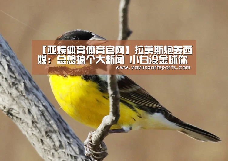 【亚娱体育体育官网】拉莫斯炮轰西媒:总想搞个大新闻 小白没金球你们接锅(图1) 亚娱体育下载app