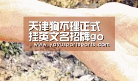 亚娱体育体育官网