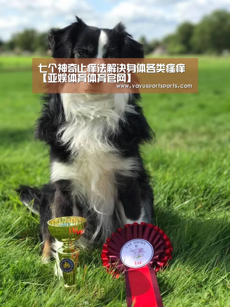 亚娱体育下载app