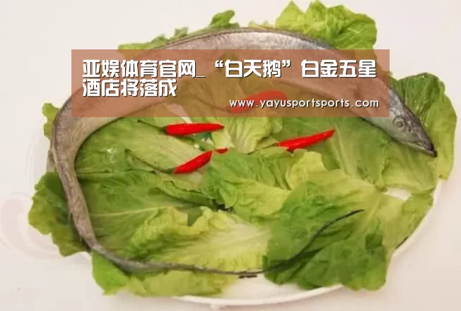 亚娱体育官网