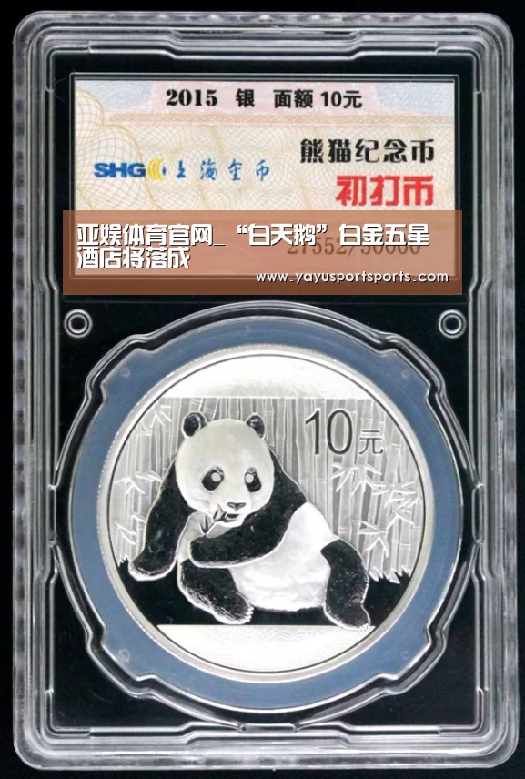 亚娱体育下载app