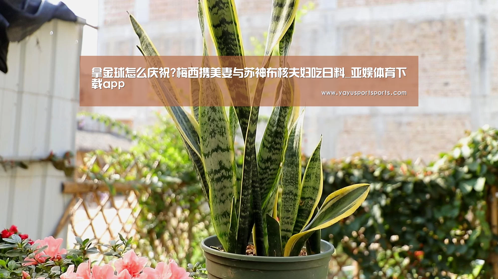 亚娱体育体育官网