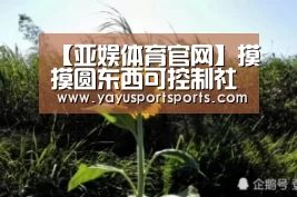 【亚娱体育官网】摸摸圆东西可控制社交恐惧症?(图3) 亚娱体育体育官网